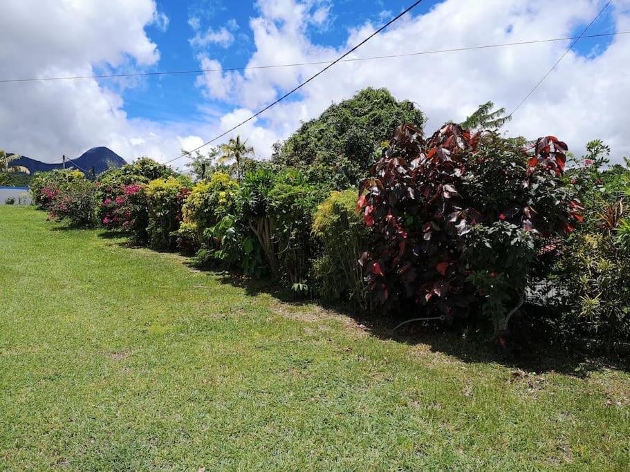 Le Jardin Des B-Joux Villa Le Morne-Vert Exterior photo