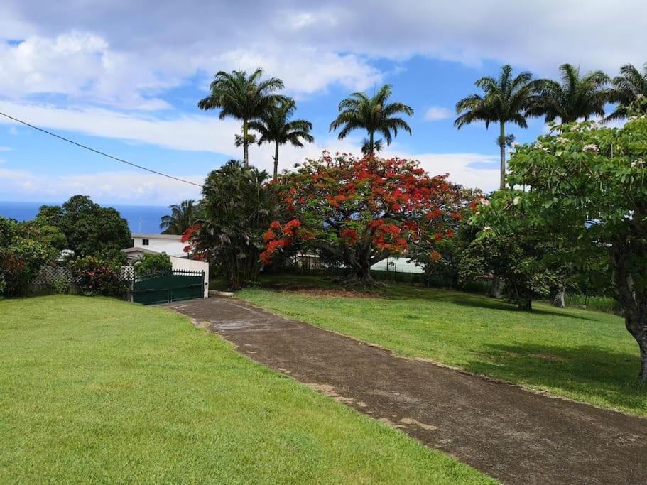 Le Jardin Des B-Joux Villa Le Morne-Vert Exterior photo