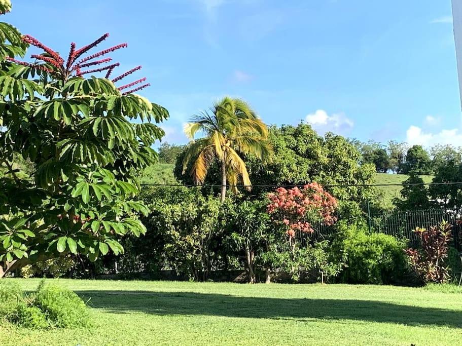 Le Jardin Des B-Joux Villa Le Morne-Vert Exterior photo