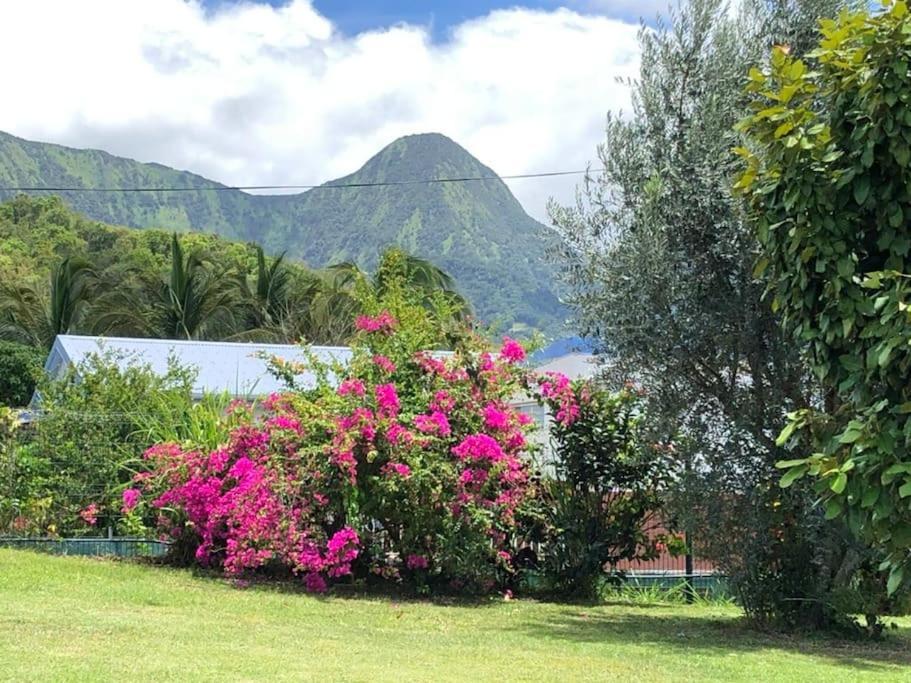 Le Jardin Des B-Joux Villa Le Morne-Vert Exterior photo