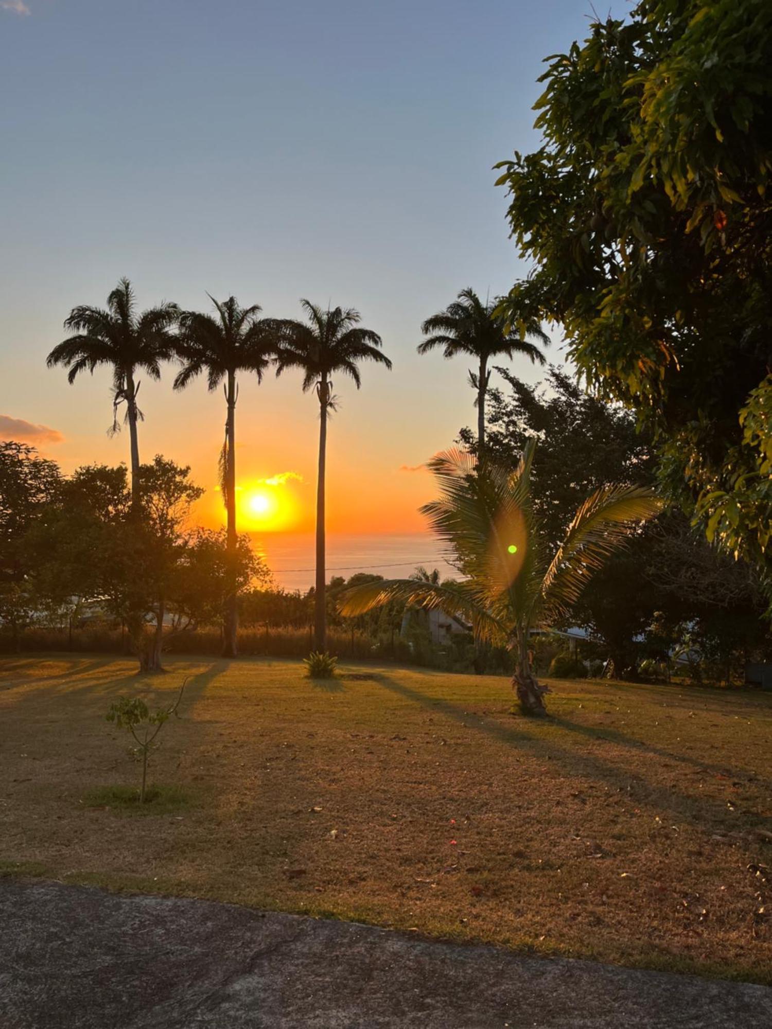 Le Jardin Des B-Joux Villa Le Morne-Vert Exterior photo